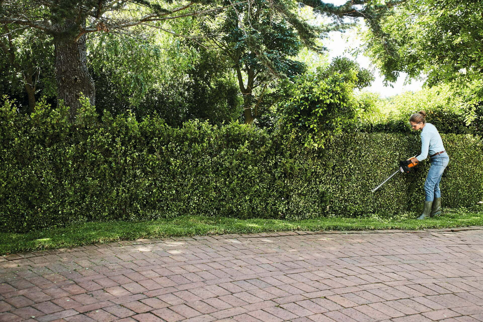 Foarfecă de tuns gard viu de închiriat cu acumulator  STIHL HSA50 - imagine 3